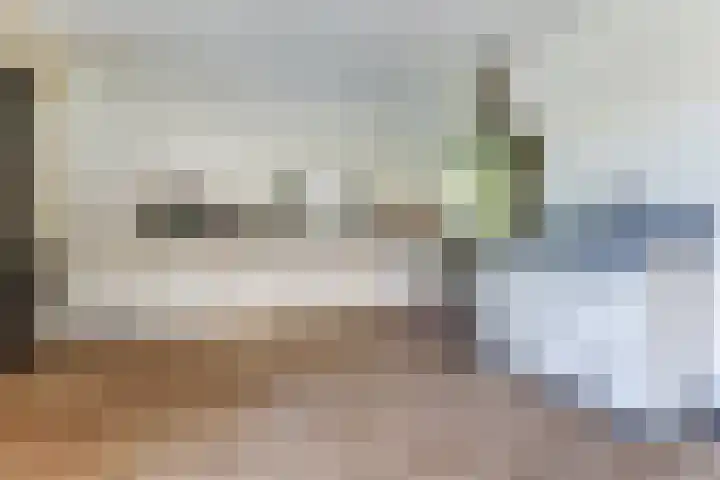 Meerkoet 32 Lathum thumbnail 8