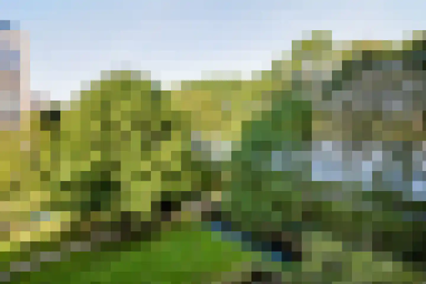 Meerkoet 33 Diemen thumbnail 18