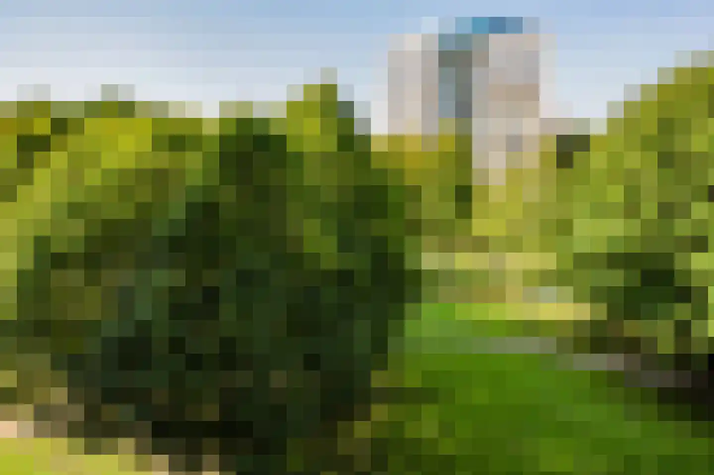Meerkoet 33 Diemen thumbnail 20