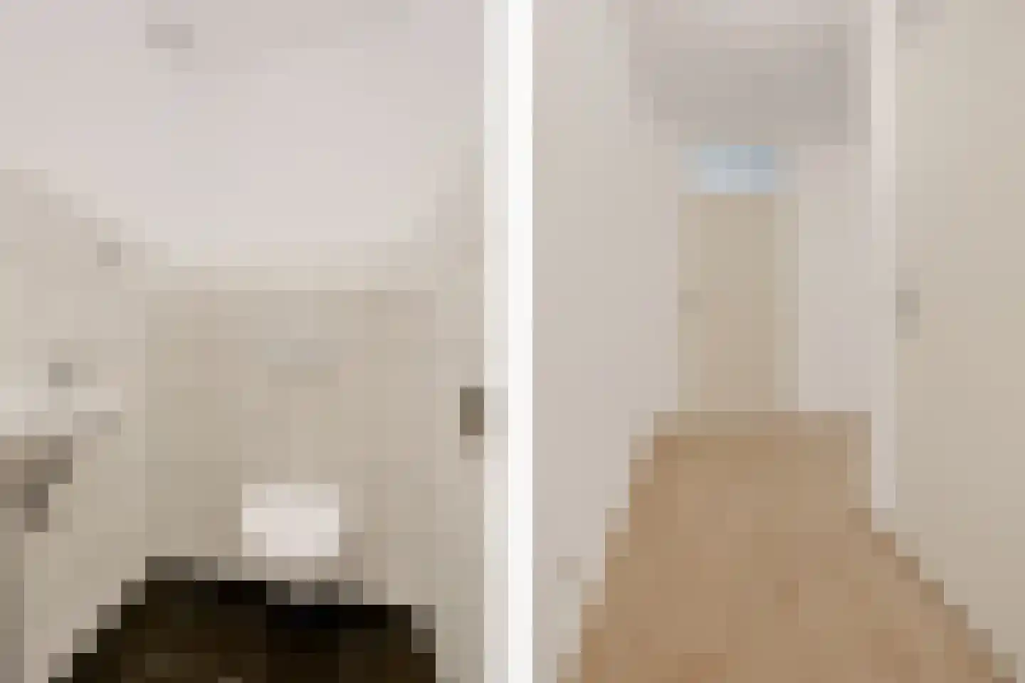Meerkoet 33 Diemen thumbnail 24