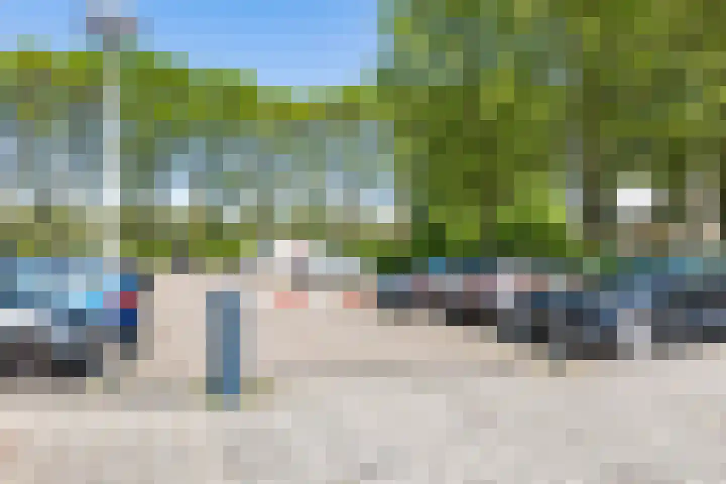 Meerkoet 33 Diemen thumbnail 29