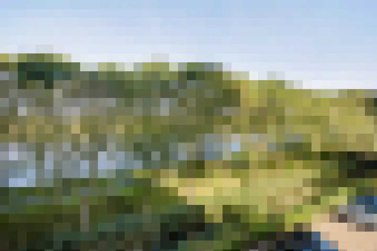 Meerkoet 33 Diemen thumbnail 32