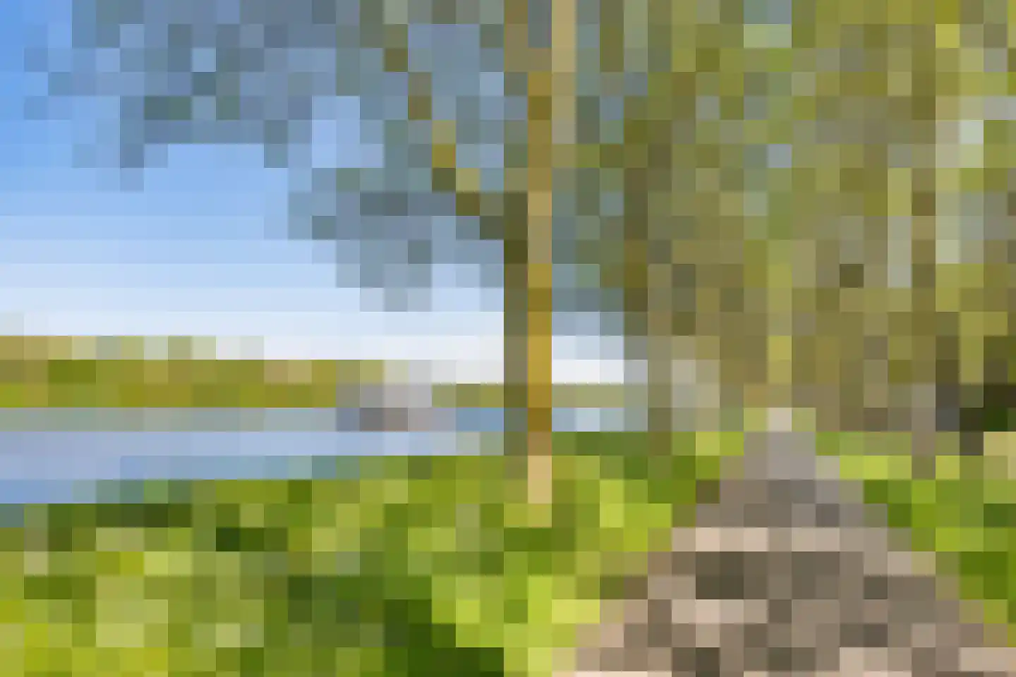 Meerkoet 33 Diemen thumbnail 33