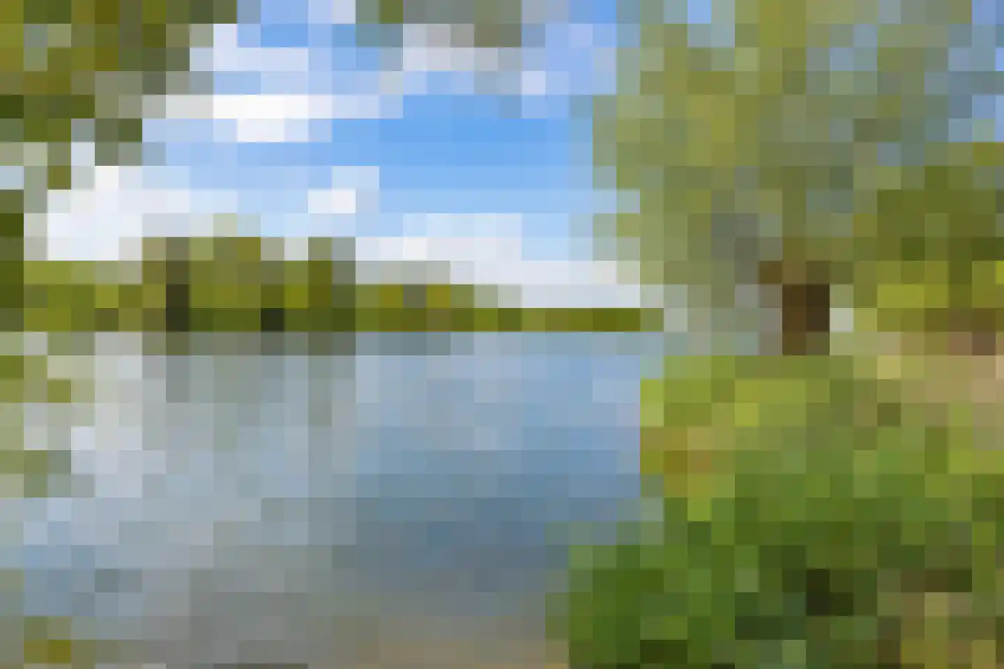 Meerkoet 33 Diemen thumbnail 34