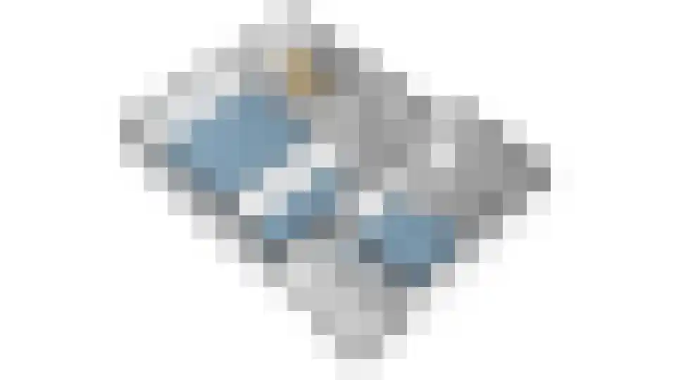 Meerkoet 33 Diemen thumbnail 36