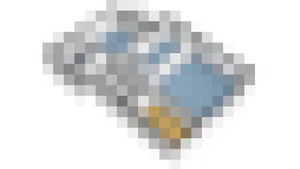 Meerkoet 33 Diemen thumbnail 37