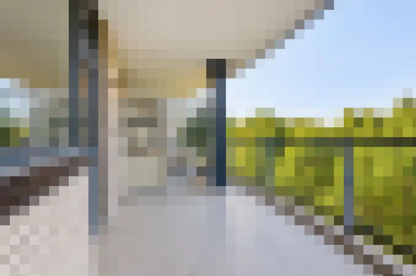 Meerkoet 33 Diemen thumbnail 5