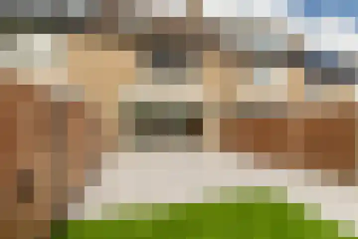 Meerkoet 34 Hoogvliet Rotterdam thumbnail 35