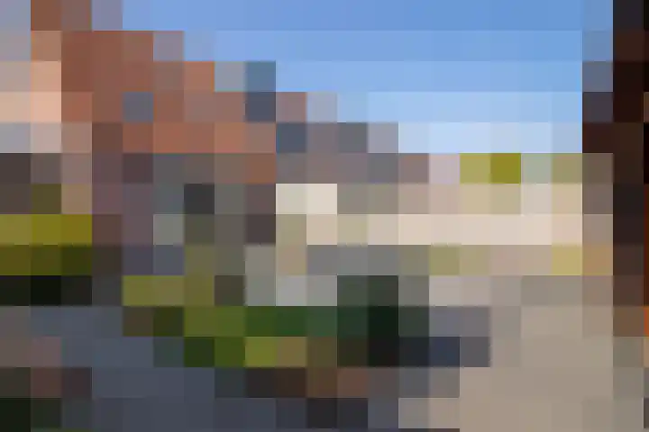 Meerkoet 35 Bergen op Zoom thumbnail 31