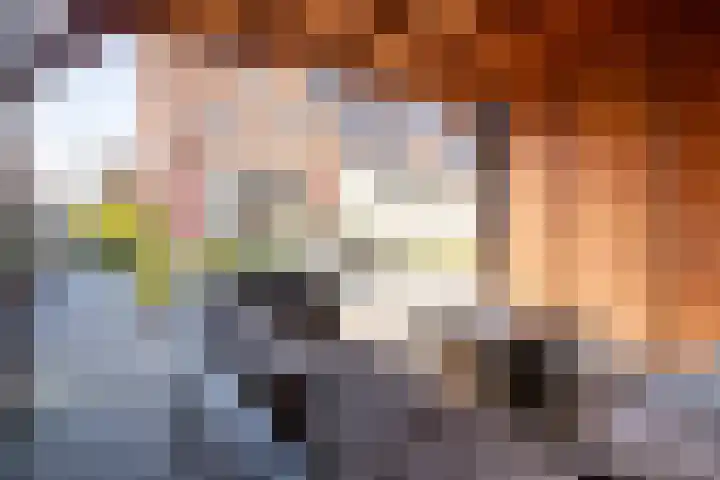 Meerkoet 35 Bergen op Zoom thumbnail 32