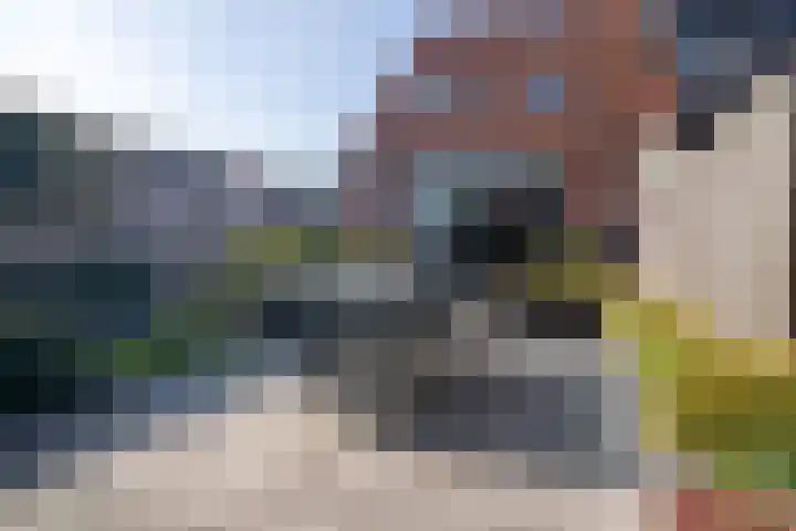 Meerkoet 35 Bergen op Zoom thumbnail 35
