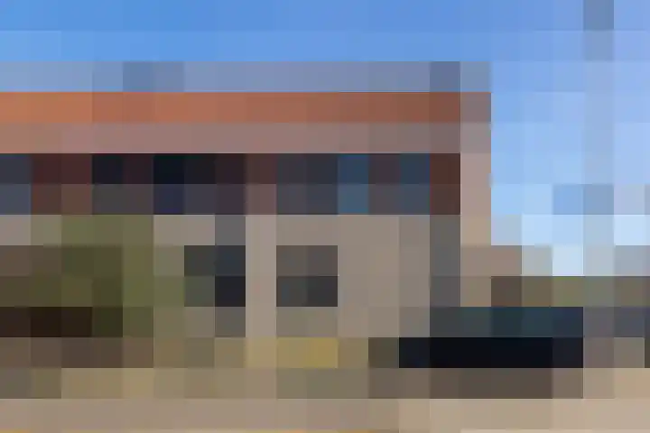 Meerkoet 35 Bergen op Zoom thumbnail 36