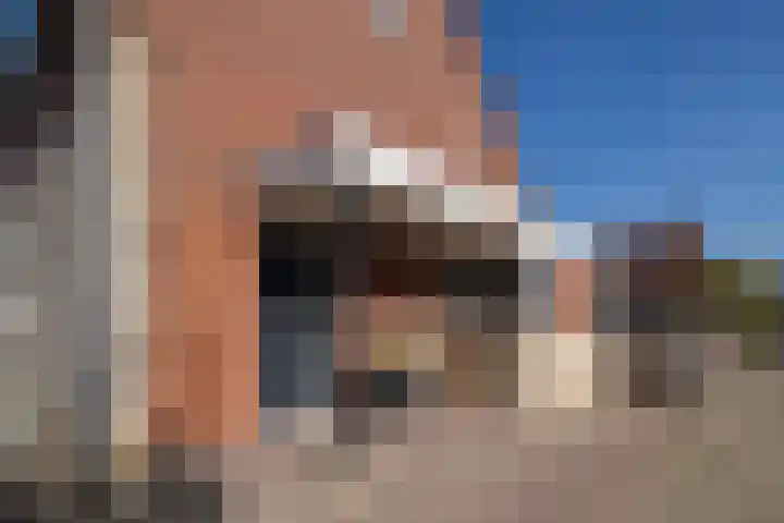 Meerkoet 35 Bergen op Zoom thumbnail 37