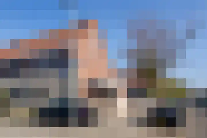 Meerkoet 35 Bergen op Zoom thumbnail 39