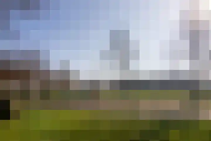 Meerkoet 35 Bergen op Zoom thumbnail 41