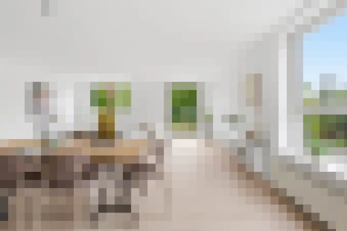 Meerkoet 379 Diemen thumbnail 13