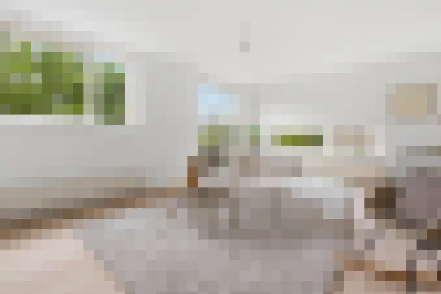 Meerkoet 379 Diemen thumbnail 16