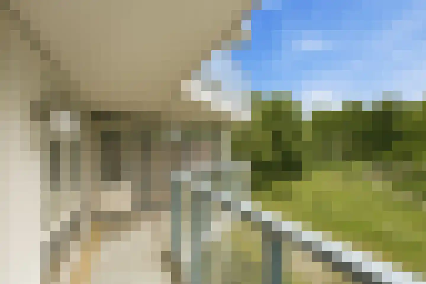 Meerkoet 379 Diemen thumbnail 31