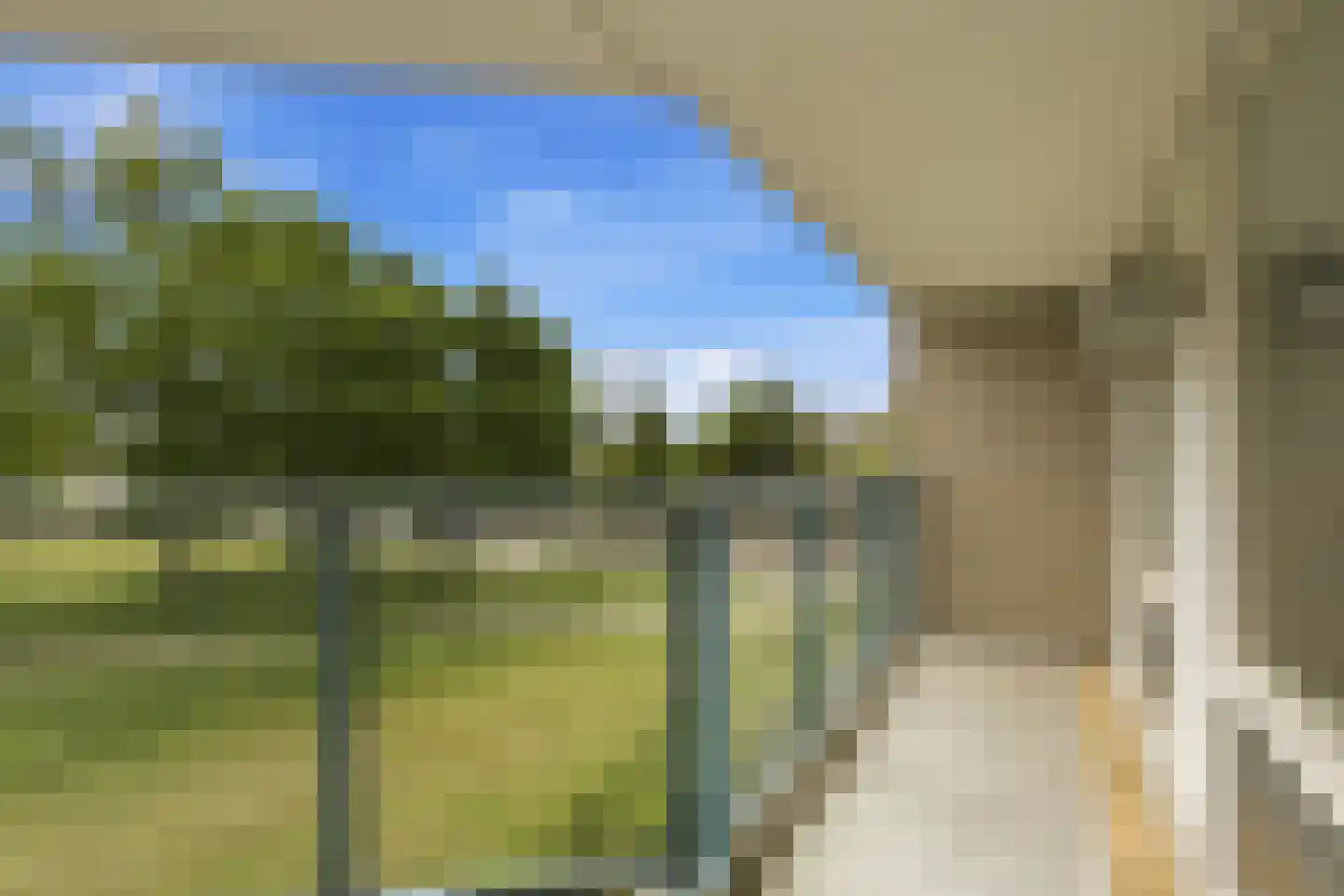 Meerkoet 379 Diemen thumbnail 32
