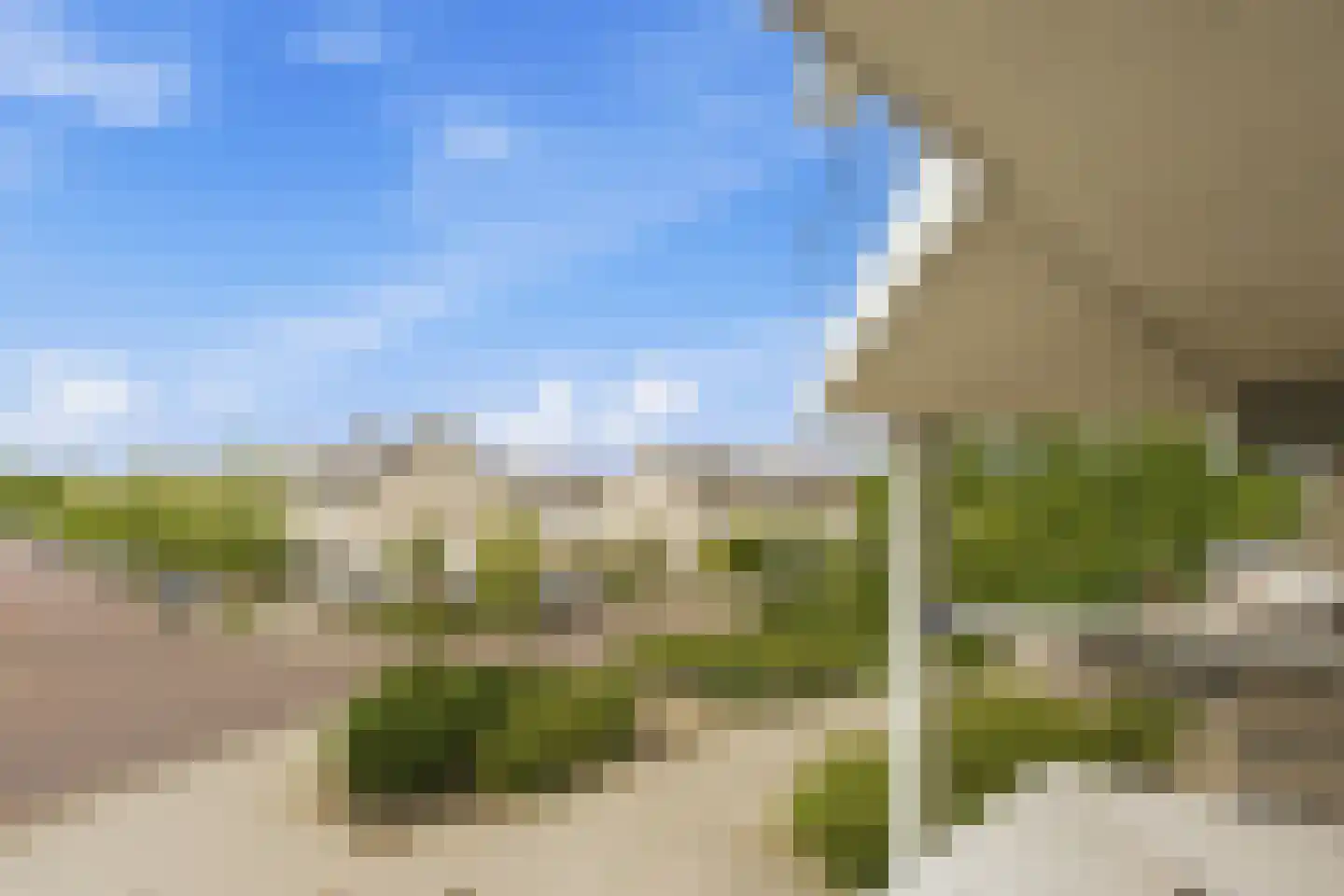 Meerkoet 379 Diemen thumbnail 33
