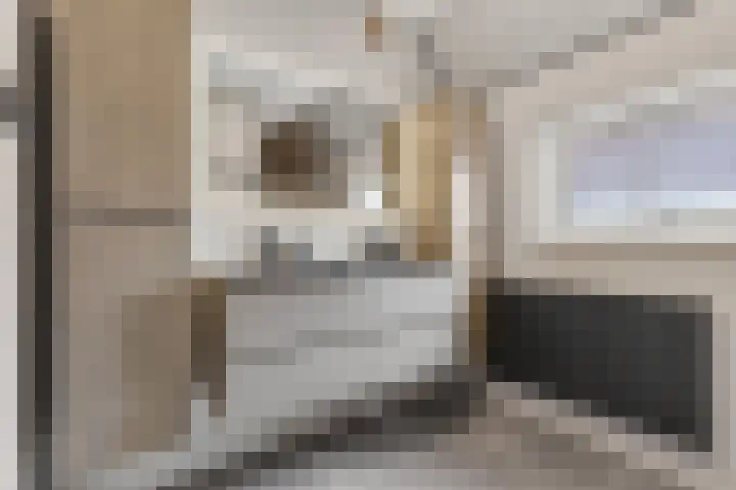 Meerkoet 38 Lathum thumbnail 13