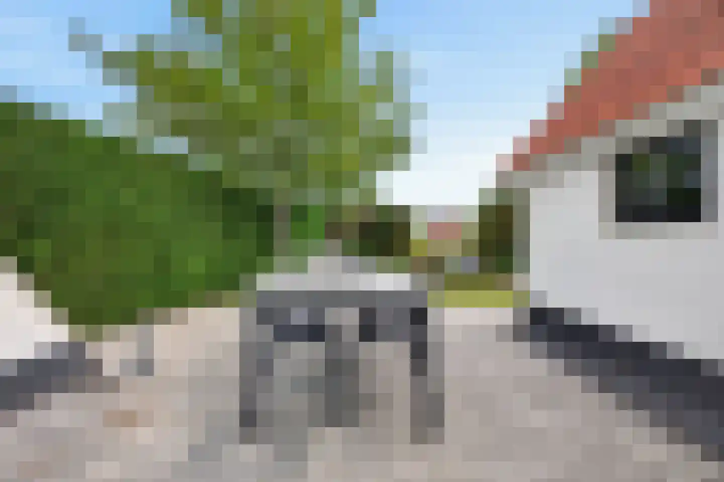 Meerkoet 38 Lathum thumbnail 25