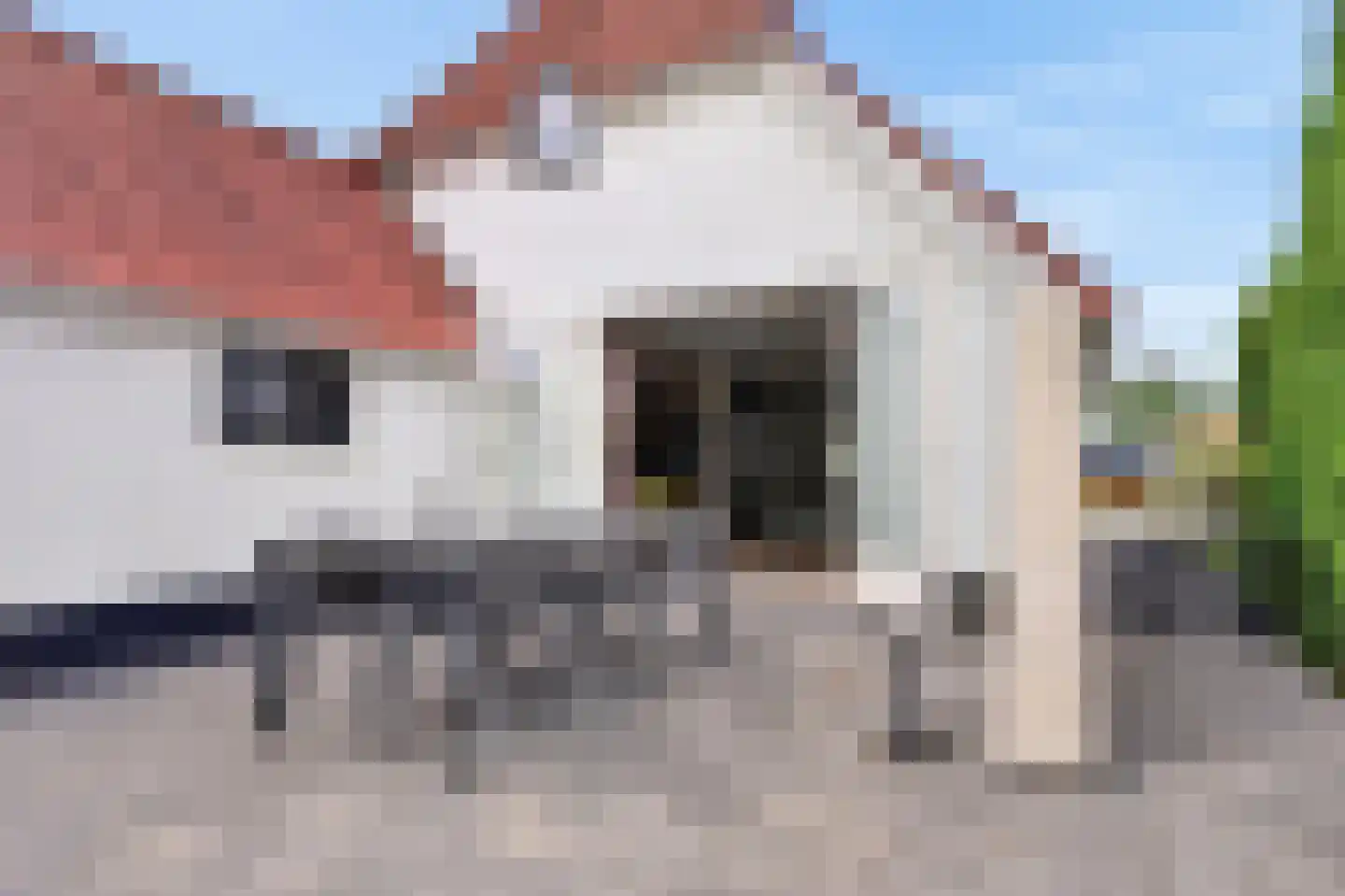 Meerkoet 38 Lathum thumbnail 26