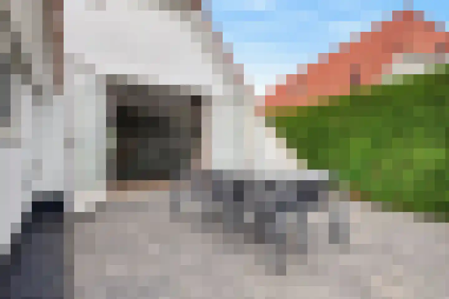 Meerkoet 38 Lathum thumbnail 27