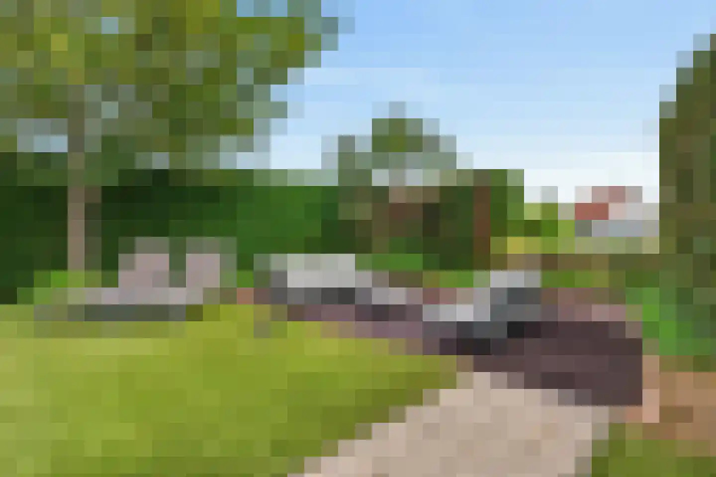 Meerkoet 38 Lathum thumbnail 30