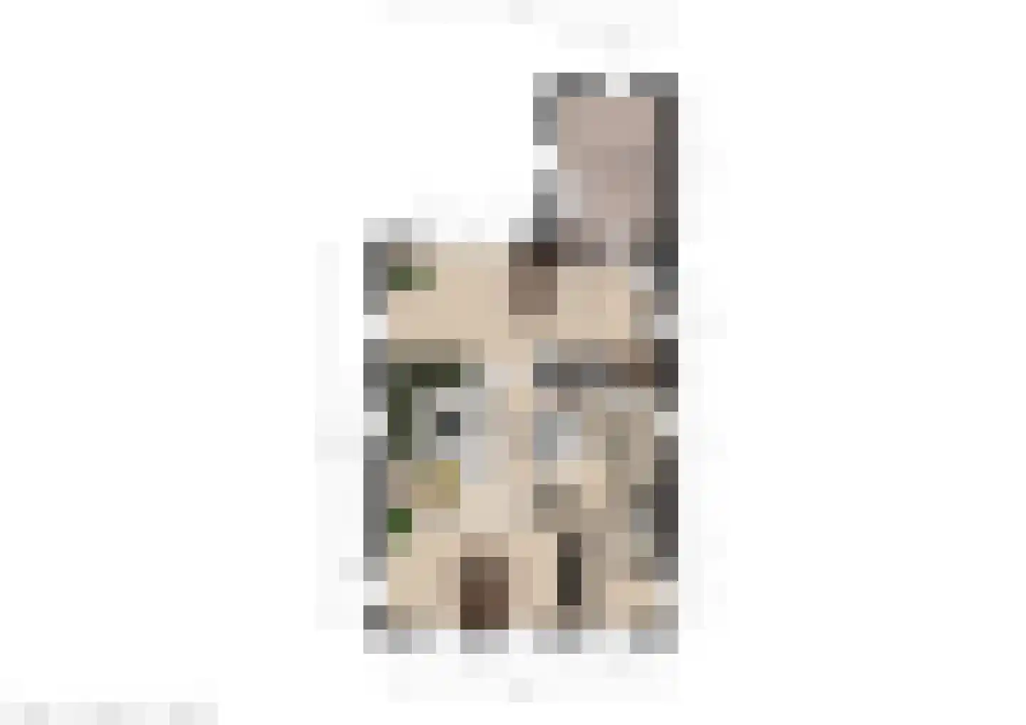 Meerkoet 38 Lathum thumbnail 35