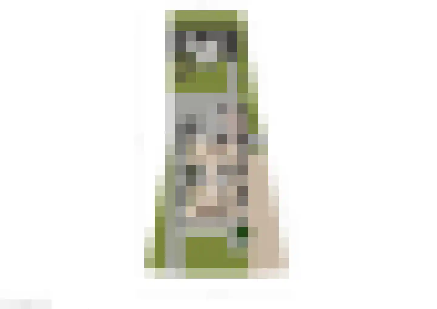 Meerkoet 38 Lathum thumbnail 37