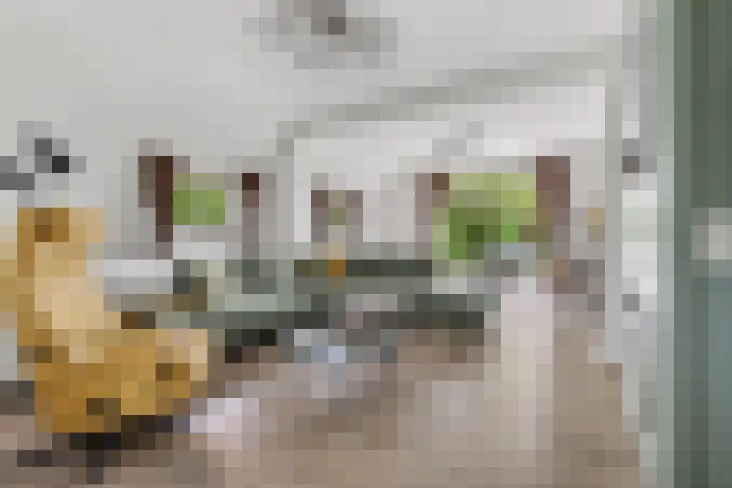 Meerkoet 38 Lathum thumbnail 5