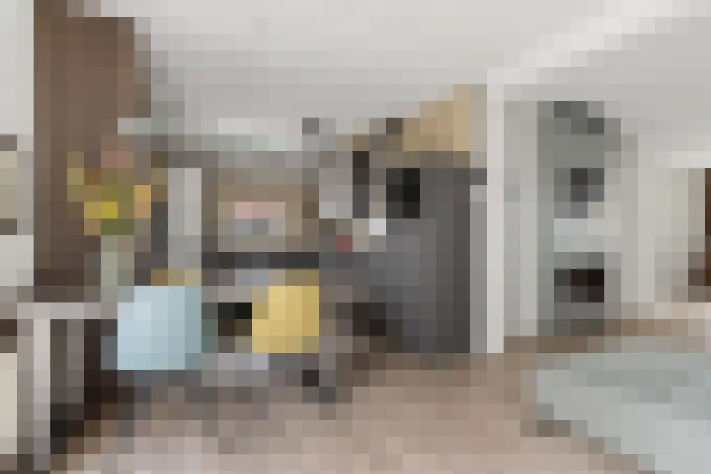 Meerkoet 38 Lathum thumbnail 8