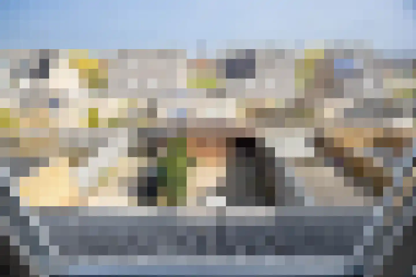 Meerkoet 39 Spanbroek thumbnail 31