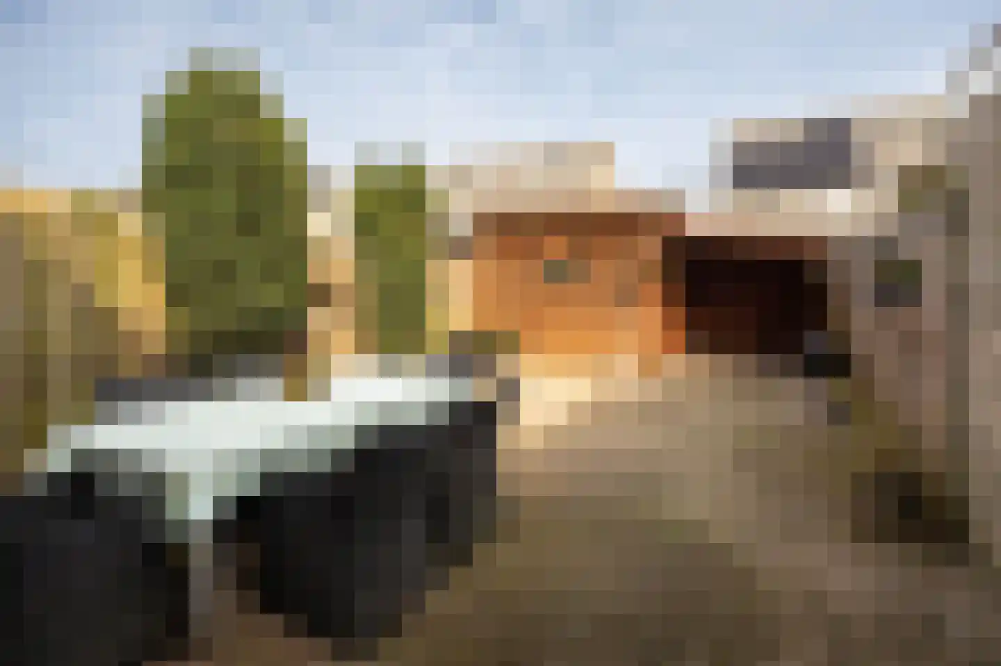 Meerkoet 39 Spanbroek thumbnail 33