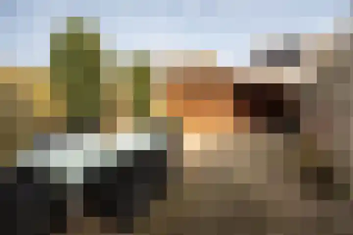 Meerkoet 39 Spanbroek thumbnail 34