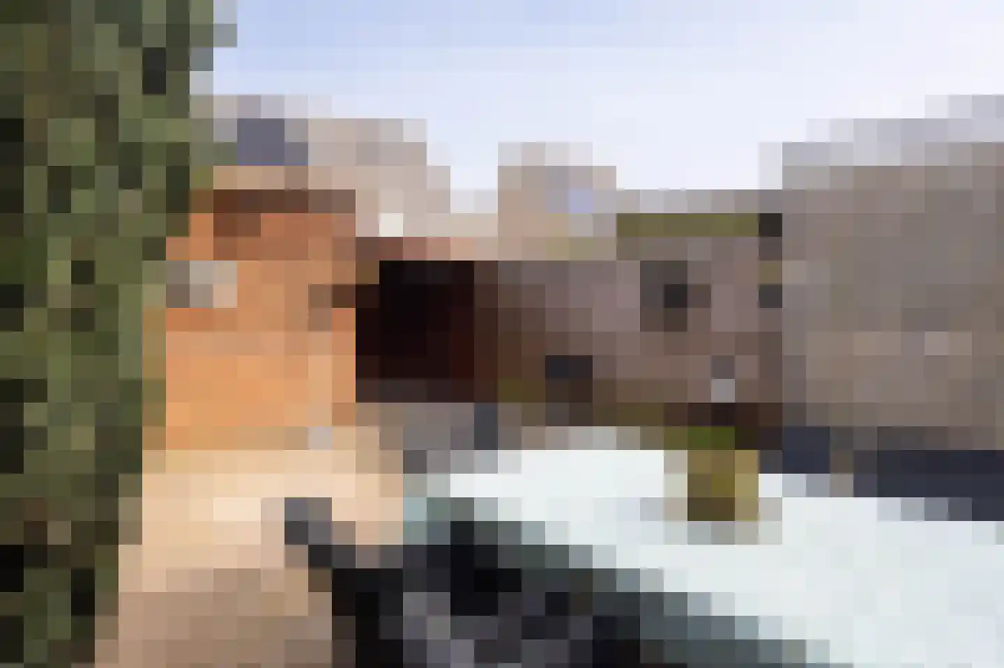 Meerkoet 39 Spanbroek thumbnail 34