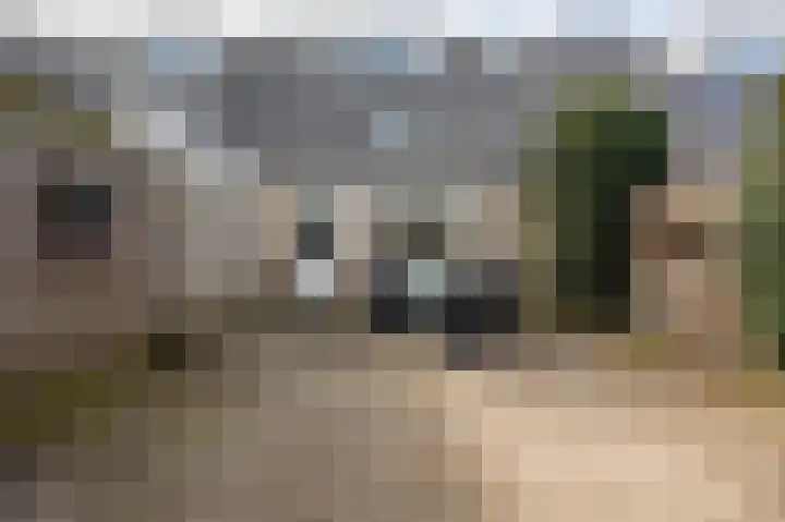 Meerkoet 39 Spanbroek thumbnail 37
