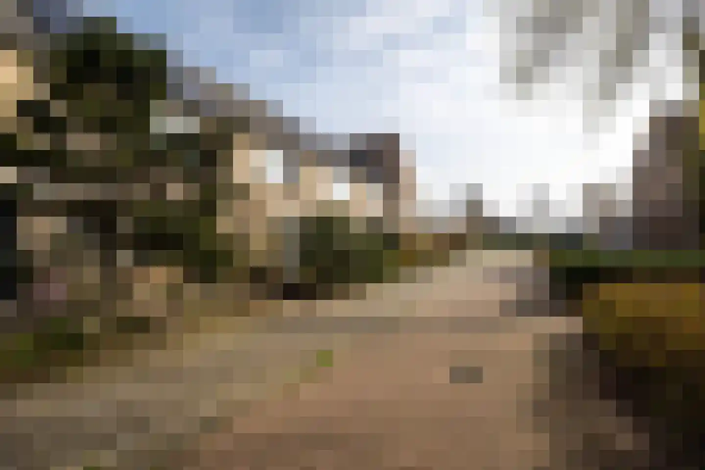 Meerkoet 39 Spanbroek thumbnail 38