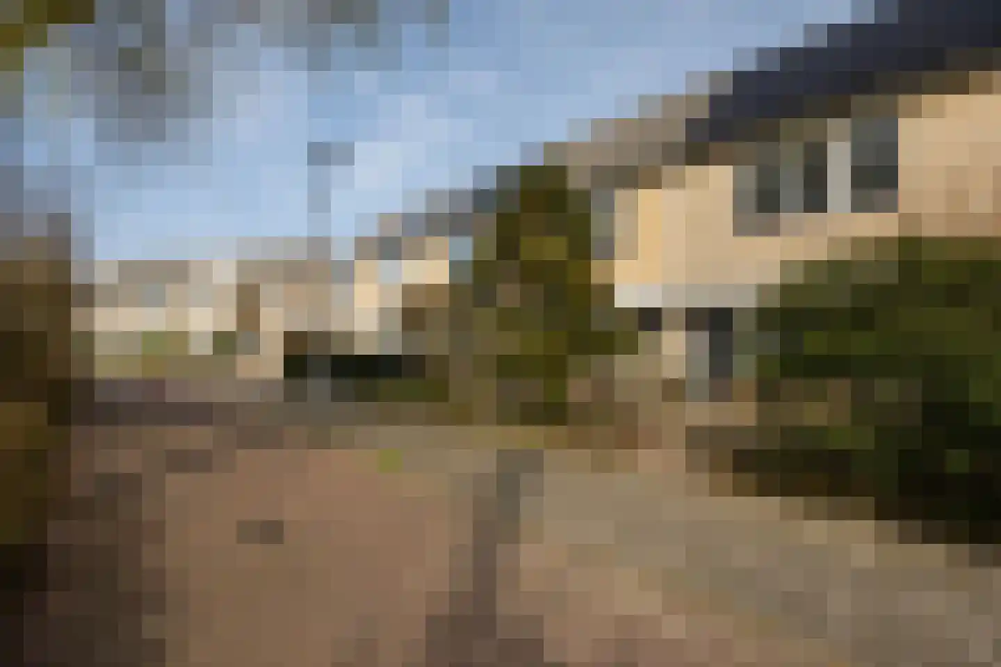 Meerkoet 39 Spanbroek thumbnail 39