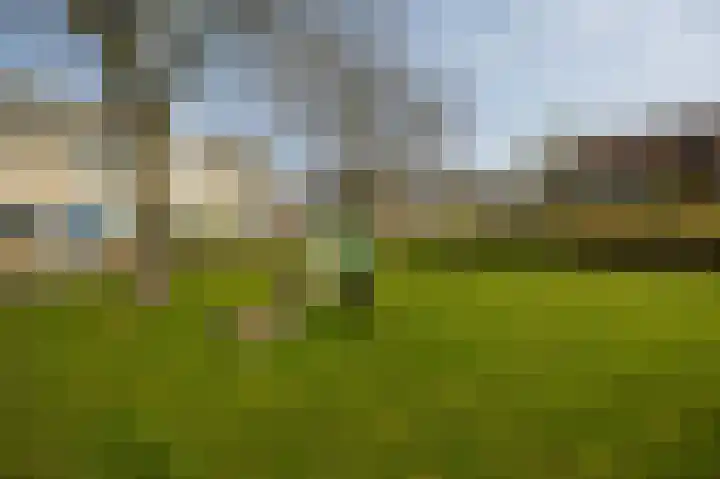 Meerkoet 39 Spanbroek thumbnail 39