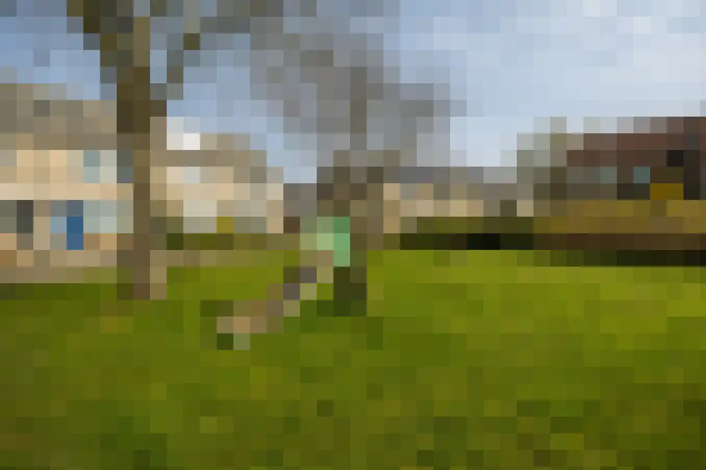 Meerkoet 39 Spanbroek thumbnail 40