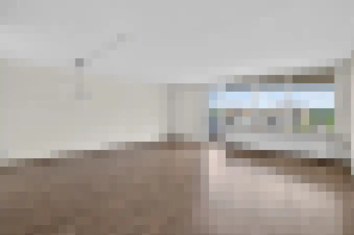 Meerkoet 399 Diemen thumbnail 12