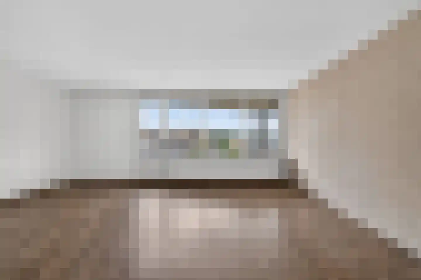 Meerkoet 399 Diemen thumbnail 13