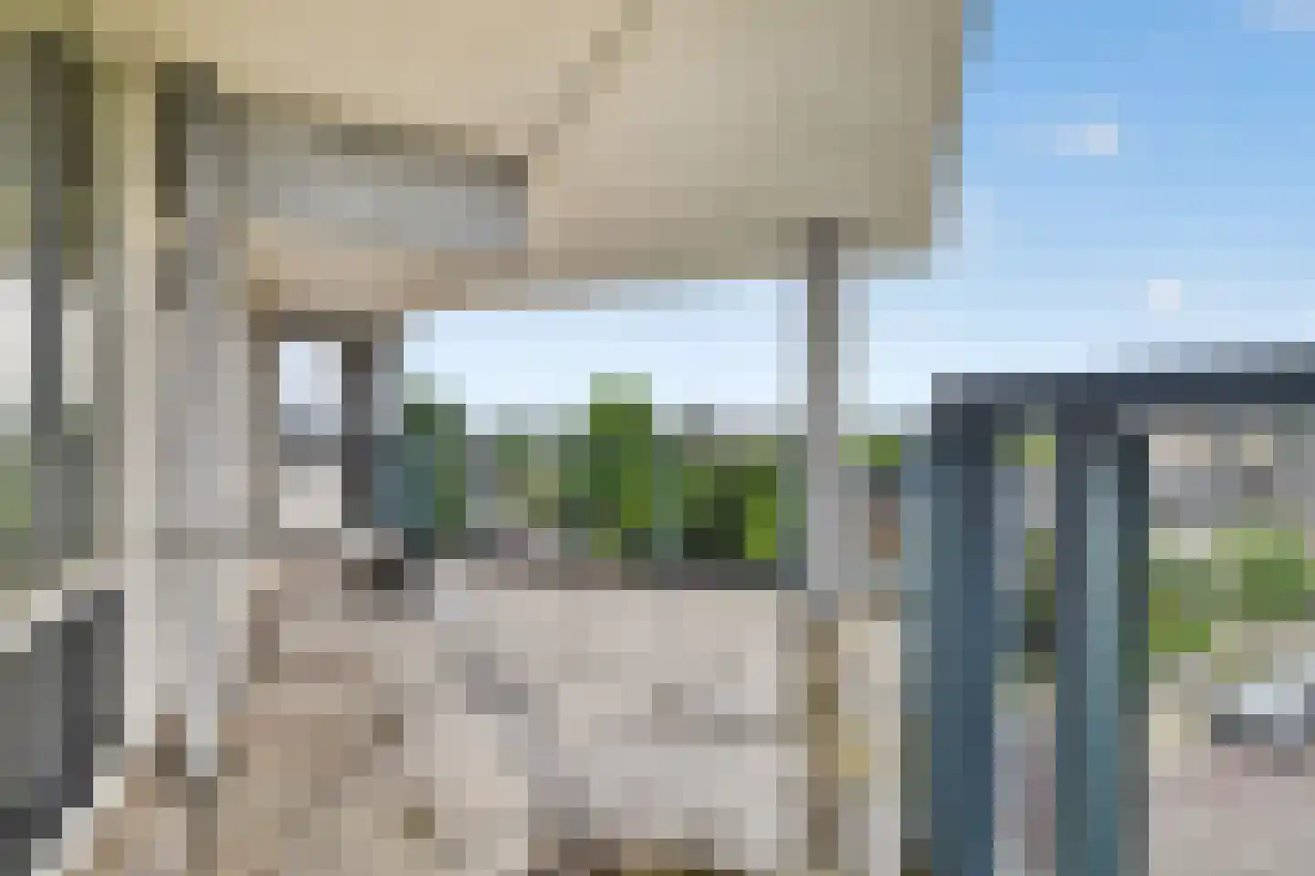 Meerkoet 399 Diemen thumbnail 22