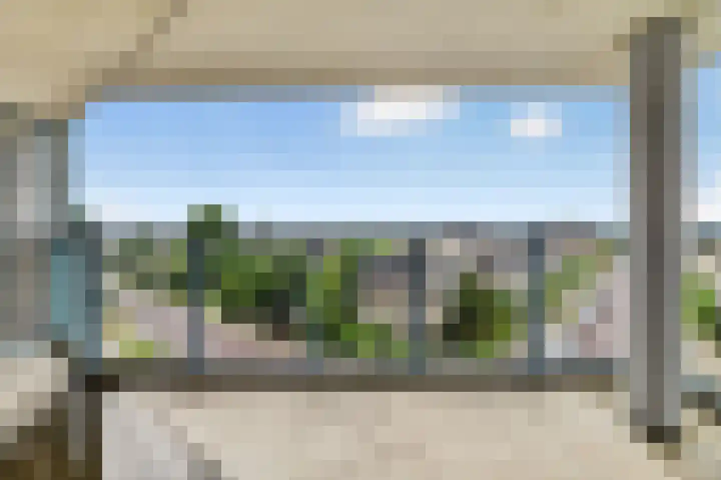 Meerkoet 399 Diemen thumbnail 23