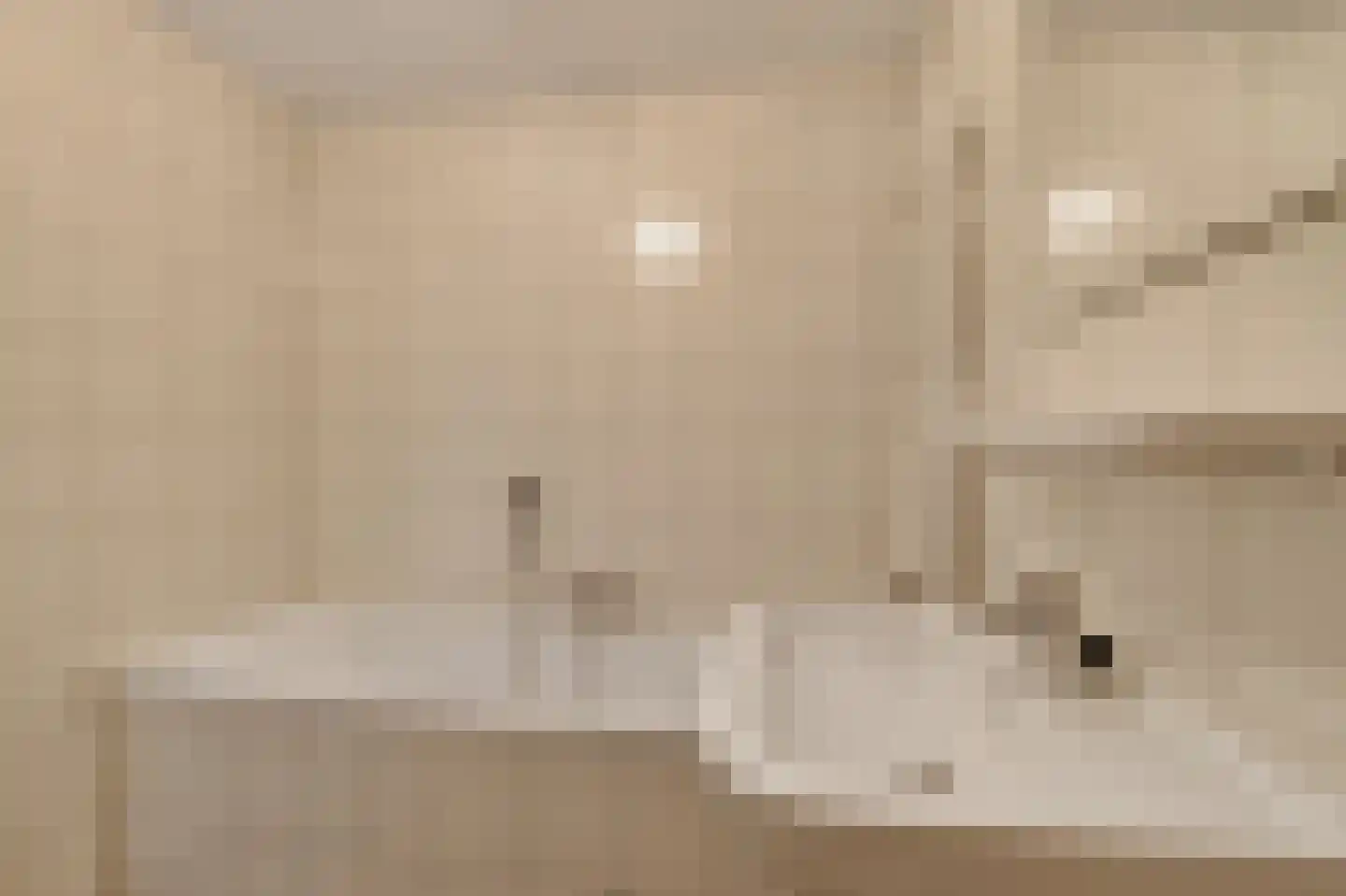Meerkoet 399 Diemen thumbnail 4