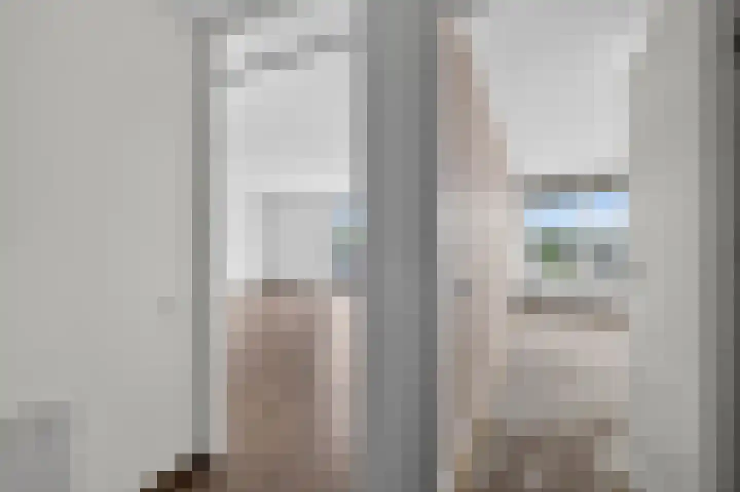 Meerkoet 399 Diemen thumbnail 6
