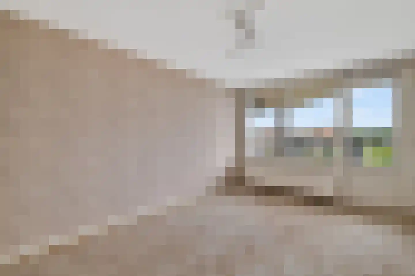 Meerkoet 399 Diemen thumbnail 7