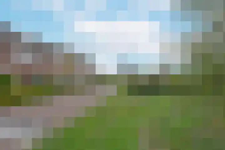 Meerkoet 41 Noorden thumbnail 11
